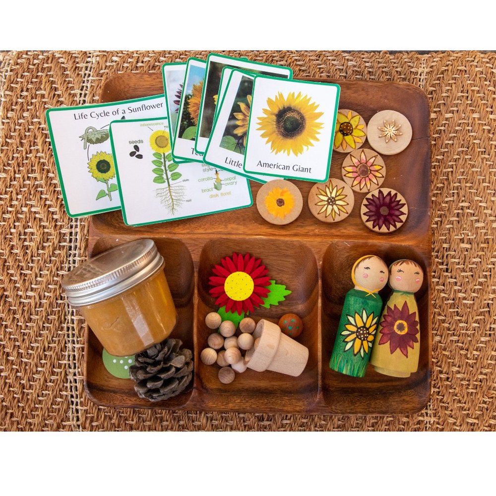 Montessori Life Cycle, Waldorf Toys, Wood Toys
